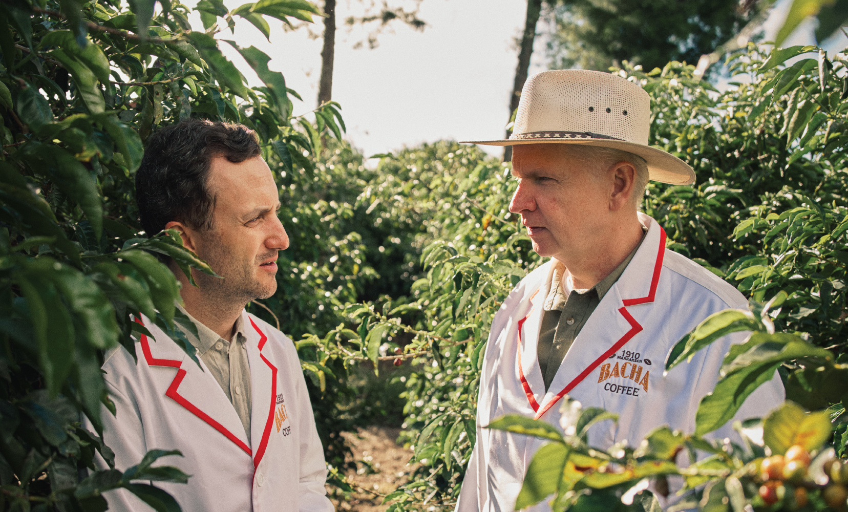 Bacha-Coffee---Journeys-to-the-Source---Costa-Rica---Harvesting-coffee-cherries-in-plantation,-grecia-region-(48)