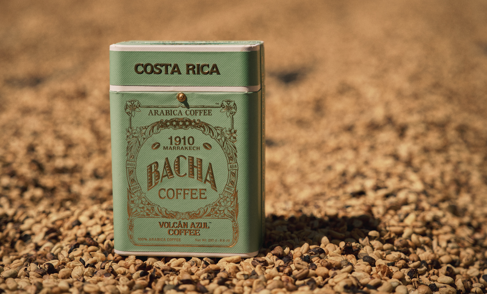 Bacha-Coffee---Journeys-to-the-Source---Costa-Rica---Volcan-Azul-coffee-ground-beans-(4)