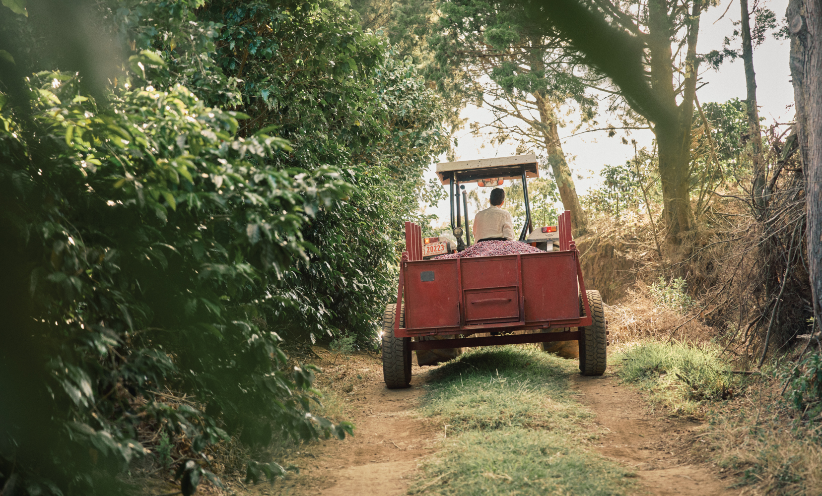 Behind the Scenes of the Film—Costa Rica Pura Vida, Pura Tierra - Image10