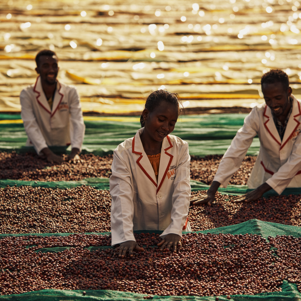 ethiopia-film-series-coffee-story-thumbnail-1