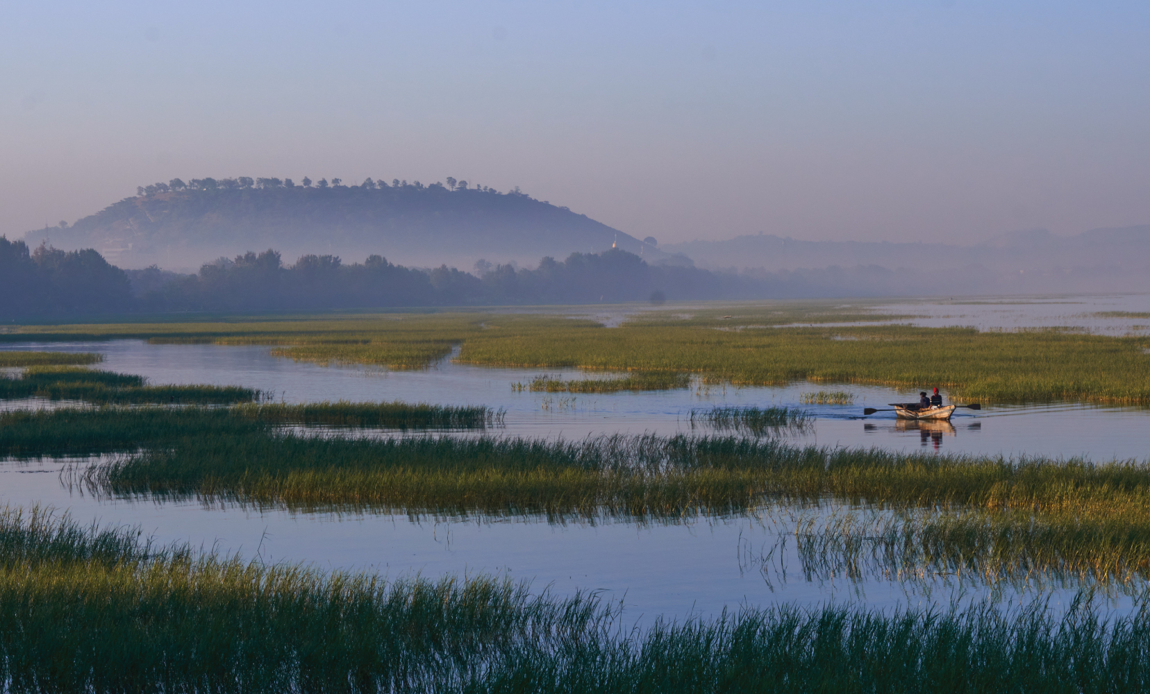 RareHarvest_BodyImage_1