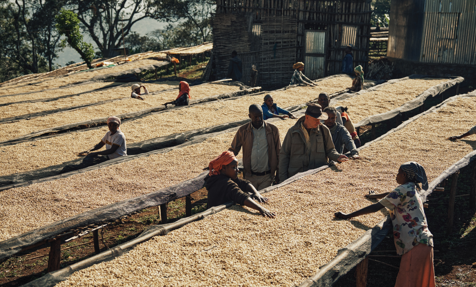 RareHarvest_BodyImage_2