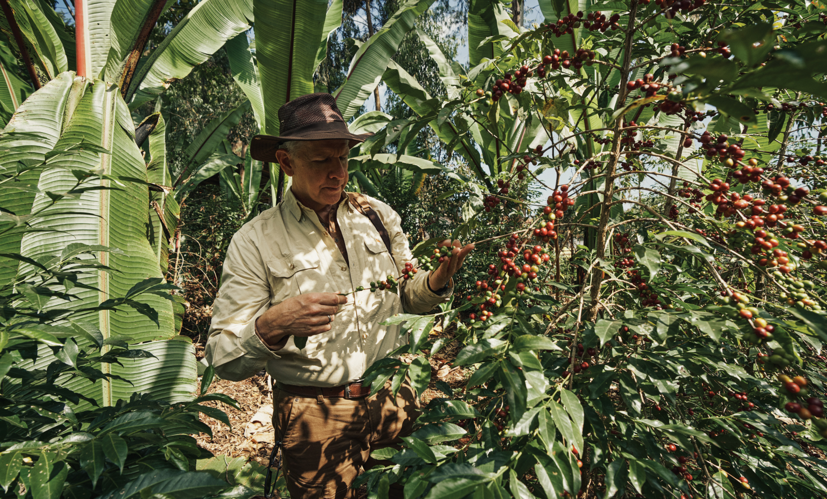 SpecialtyCoffee_BodyImage_1