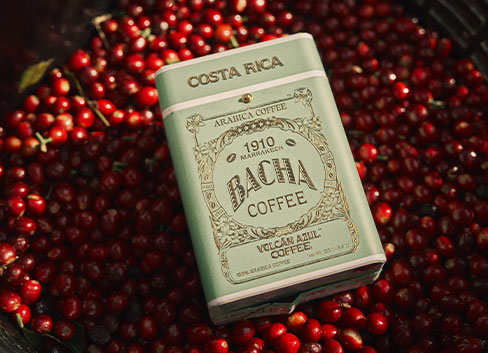 https://bachacoffee.com/images/default-source/landing-pages/costa-rica-landing-page/488x353-festive-collection-banner31ef52616a1749519c0ca4be7e6dead3.jpg