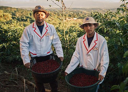 https://bachacoffee.com/images/default-source/landing-pages/costa-rica-landing-page/image5.jpg