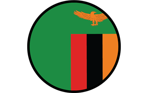 bacha-single-origin-mpika-jewel-zambia-830x525