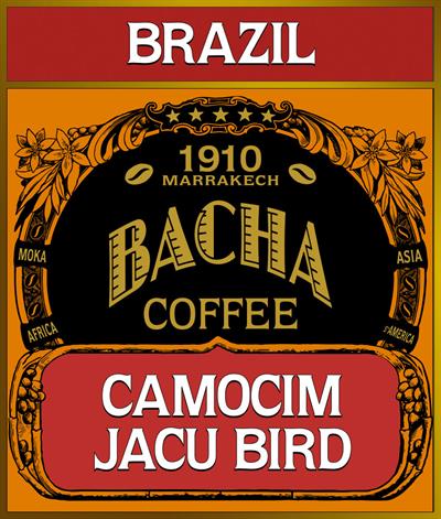 ブラジル | カモシム・ジャクーバード コーヒー | シングル ブラジル | カモシム・ジャクーバード コーヒー | シングル