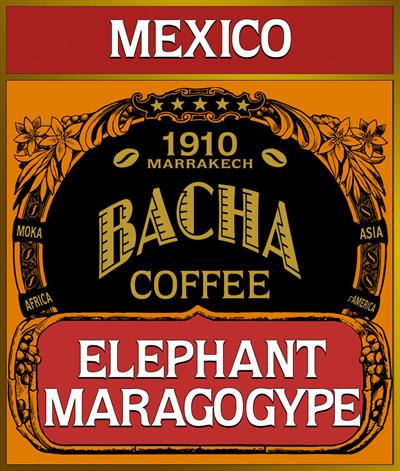 Elephant Maragogype Coffee