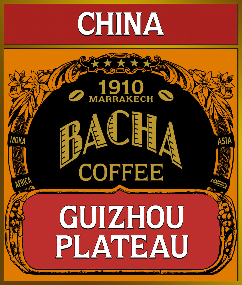 bacha-single-origin-guizhou-plateau-loose-coffee-beans