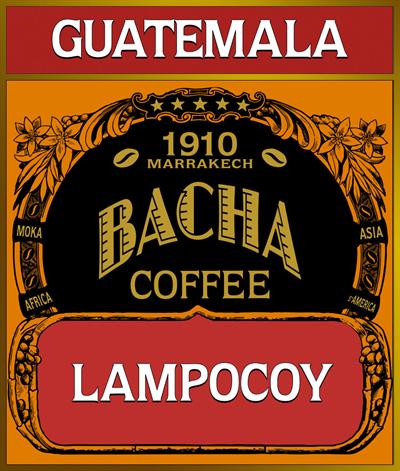 bacha-single-origin-lampocoy-loose-coffee-beans