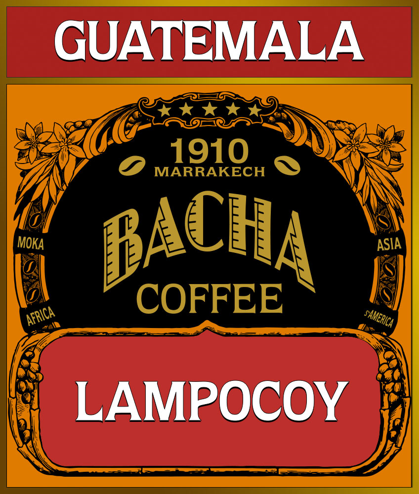 bacha-single-origin-lampocoy-loose-coffee-beans