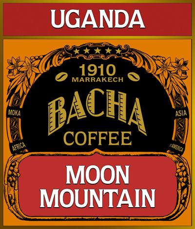 グアテマラ | ランポコイ コーヒー | シングルオリジン | Bacha Coffee