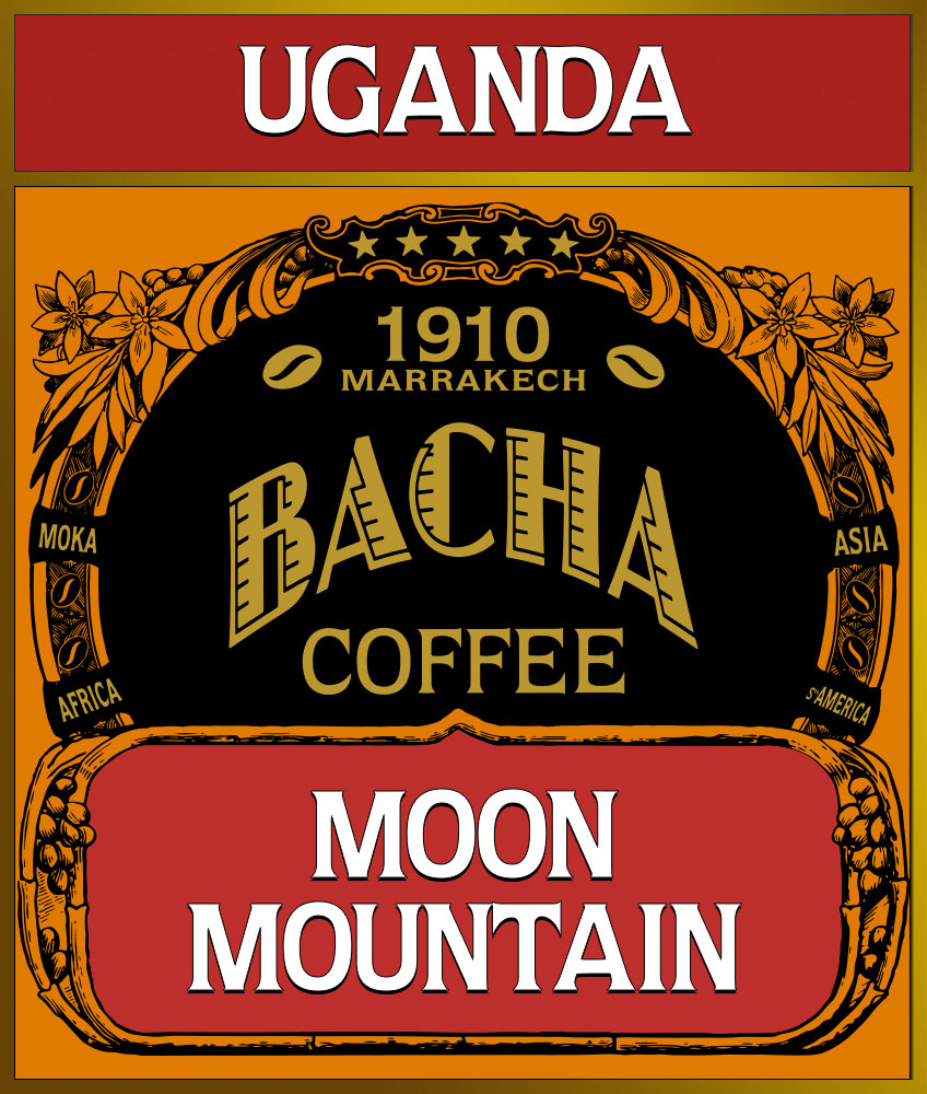 bacha-single-origin-moon-mountain-loose-coffee-beans