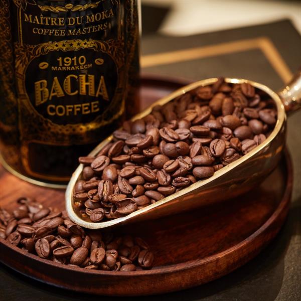 ブラジル | カモシム・ジャクーバード コーヒー | シングル ブラジル | カモシム・ジャクーバード コーヒー | シングル
