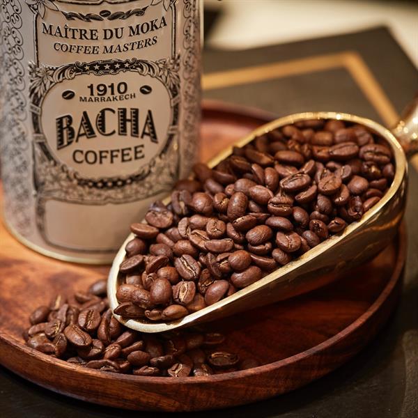 グアテマラ | ランポコイ コーヒー | シングルオリジン | Bacha グアテマラ | ランポコイ コーヒー | シングルオリジン | Bacha