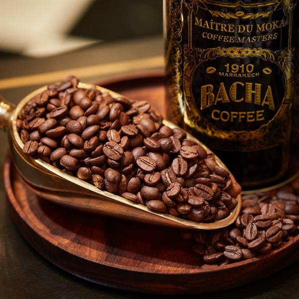 ネパール | マウントエベレスト コーヒー | シングルオリジン | Bacha Coffee