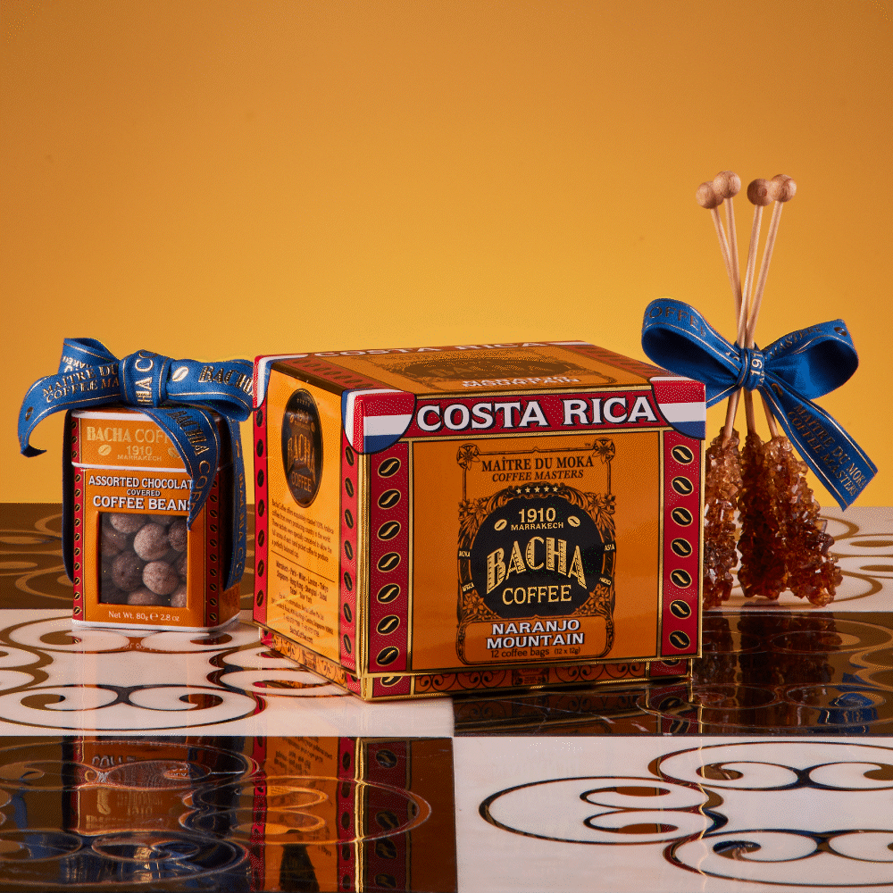 GIF_Discovery_SG_SO_1000x1000px